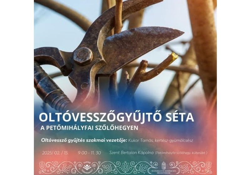 Oltóvesszőgyűjtő séta Petőmihályfán