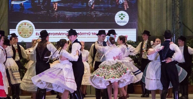 Kösöntyű 2024,02,04,-0011