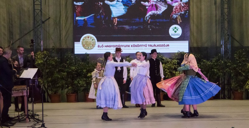 Kösöntyű 2024,02,04,-0119