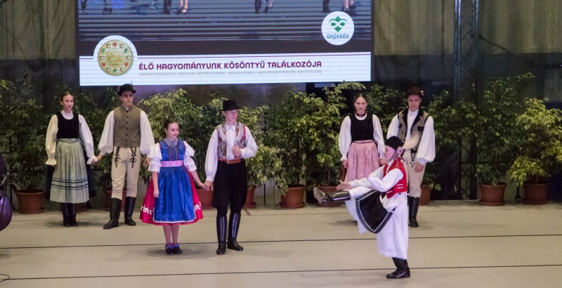 Kösöntyű 2024,02,04,-0154