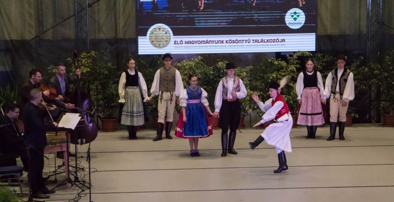 Kösöntyű 2024,02,04,-0157