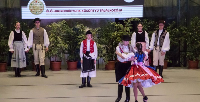 Kösöntyű 2024,02,04,-0165
