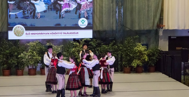 Kösöntyű 2024,02,04,-0184